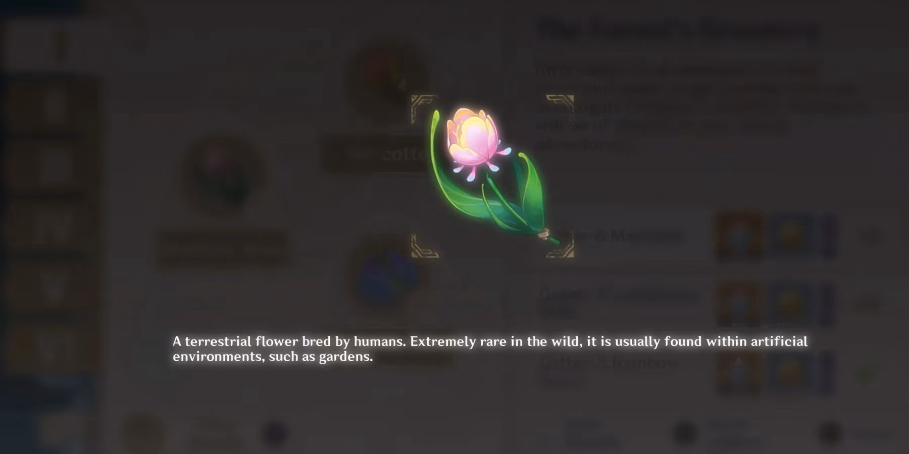 genshin-impact-rainbow-rose-farming-guide-2026-locations-routes-ascension-tips-image-1